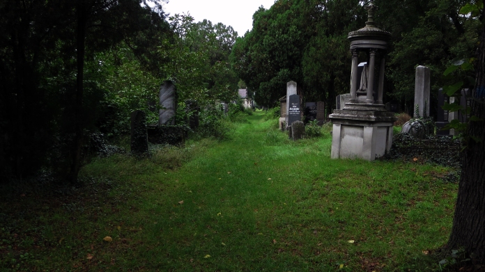wien jewish cemetery path